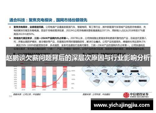 赵鹏谈欠薪问题背后的深层次原因与行业影响分析