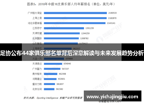 足协公布44家俱乐部名单背后深意解读与未来发展趋势分析